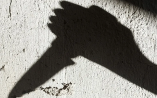 Man kills family in India over inheritance